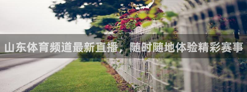 山东体育频道最新直播，随时随地体验精彩赛事