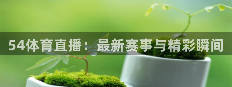 54体育直播：最新赛事与精彩瞬间